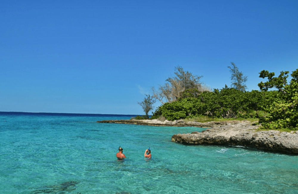 Baie des cochons